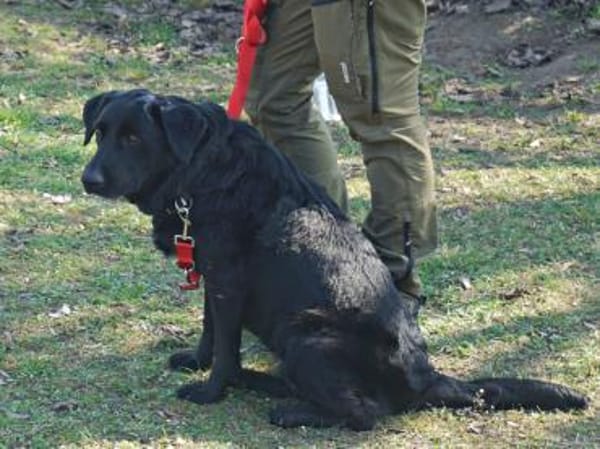 Liliana, sanft, freundlich, kinderlieb