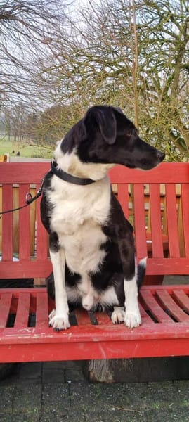 Lars sucht seine Menschen