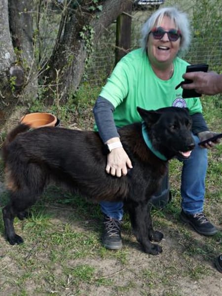 Lobo, sehr sozial, nett, menschenbezogen