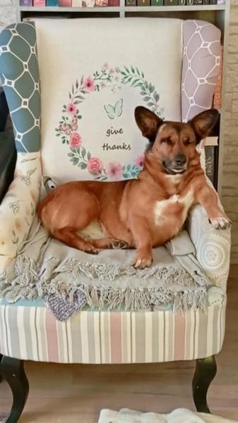 Matilde, freundlich, lernwillig, offen