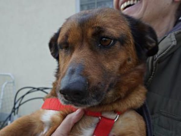 Matilde, freundlich, lernwillig, offen