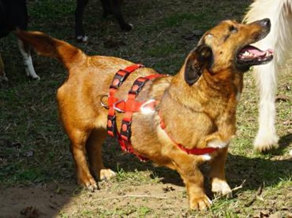 Matilde, freundlich, lernwillig, offen