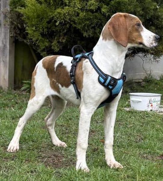 Sunny hübsche Seele bei München