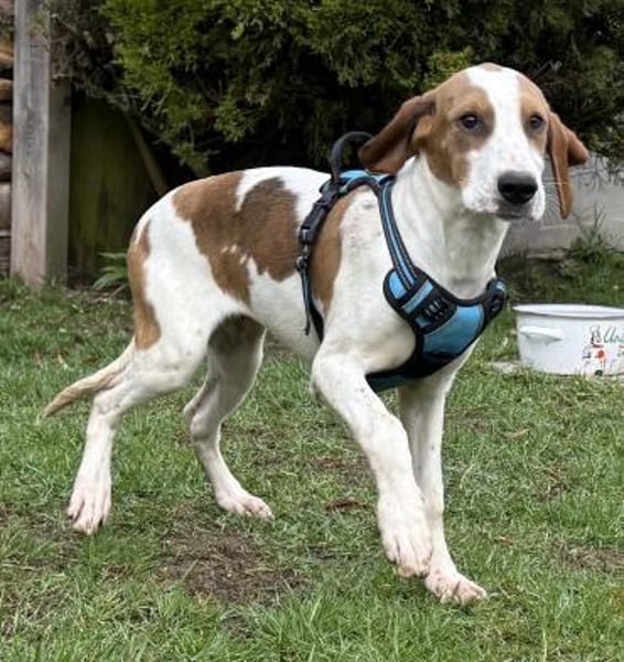 Sunny hübsche Seele bei München