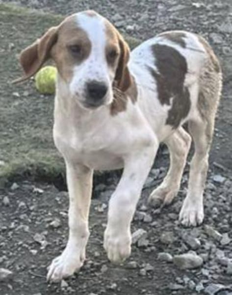 Sunny hübsche Seele bei München