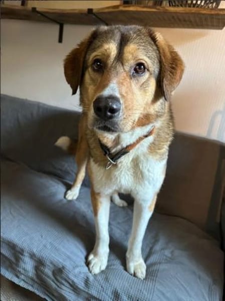 Marlin sucht seine Menschen