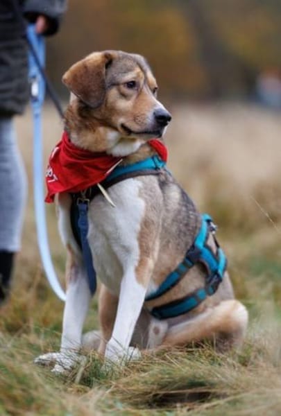 Marlin sucht seine Menschen