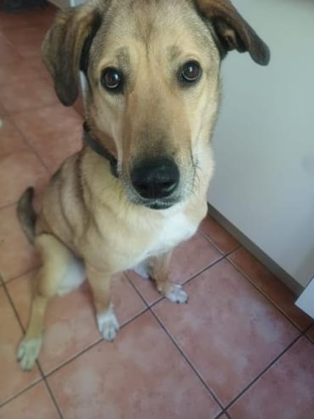 Juna - liebe, feinsinnige und sensible