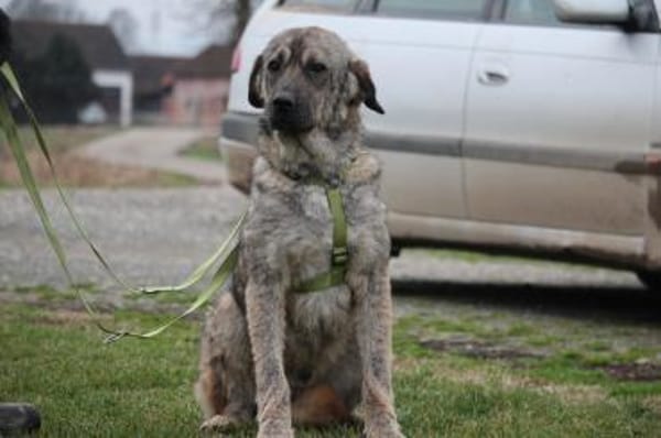 Ayko sucht seine Lieblingsmenschen...