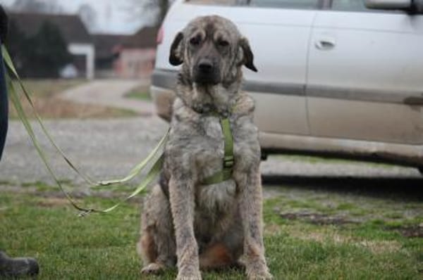 Ayko sucht seine Lieblingsmenschen...