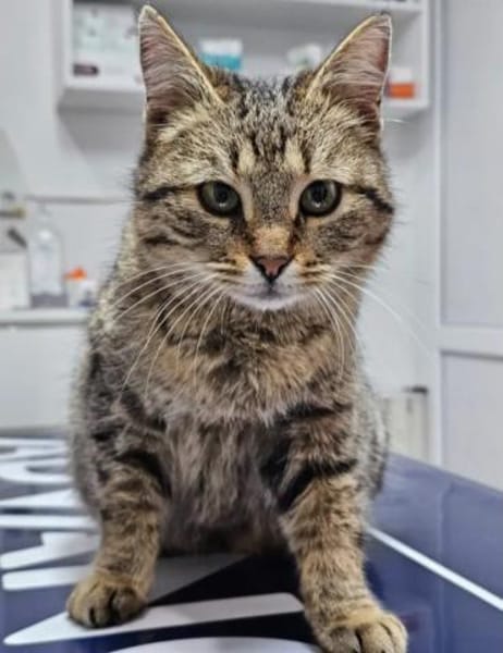 Alma & Sassy Traumpärchen sucht Paradies