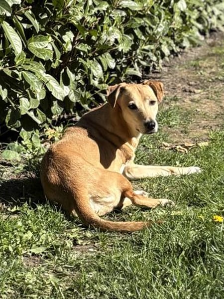 Aurelia hat es mehr als verdient!