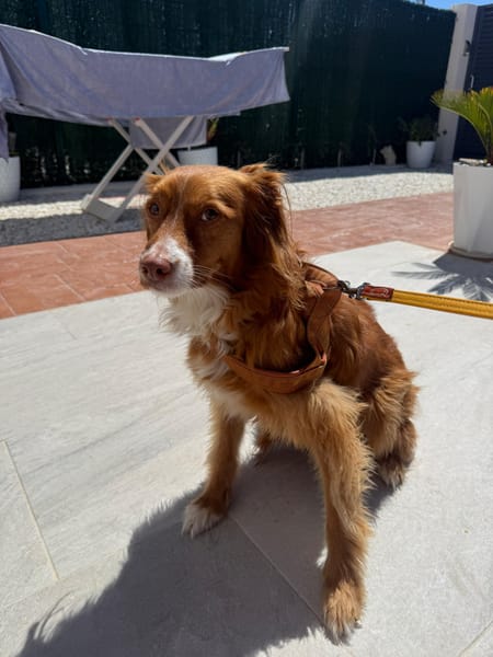 VALINA ET LÉA (Martina)