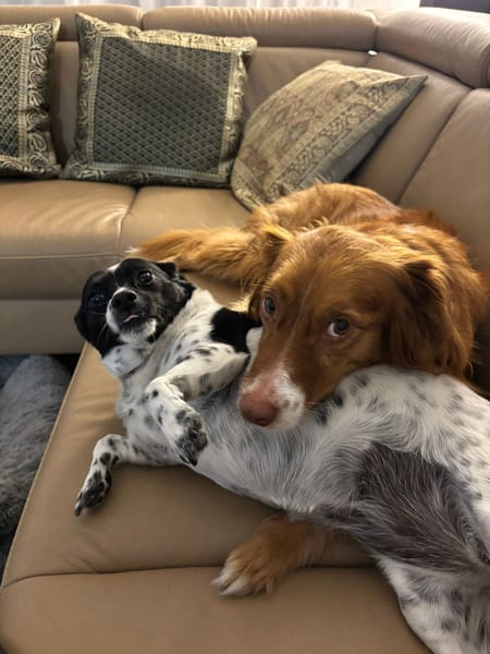 VALINA ET LÉA (Martina)