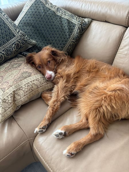 VALINA ET LÉA (Martina)