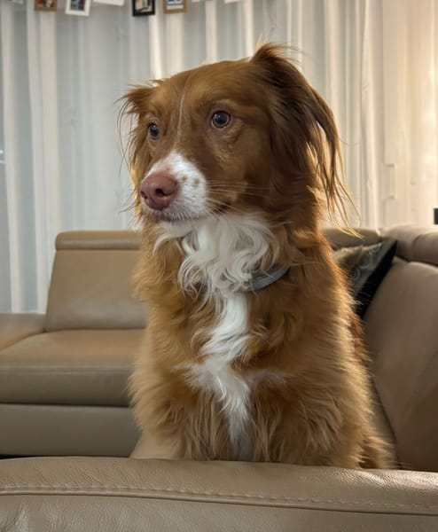 VALINA ET LÉA (Martina)