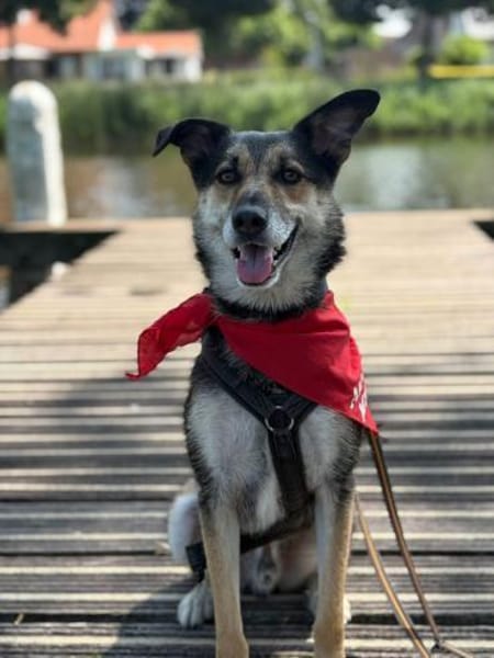 Takko sucht sein Zuhause