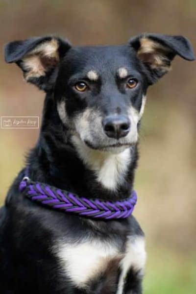 GISLI * liebevoller Bub braucht Halt