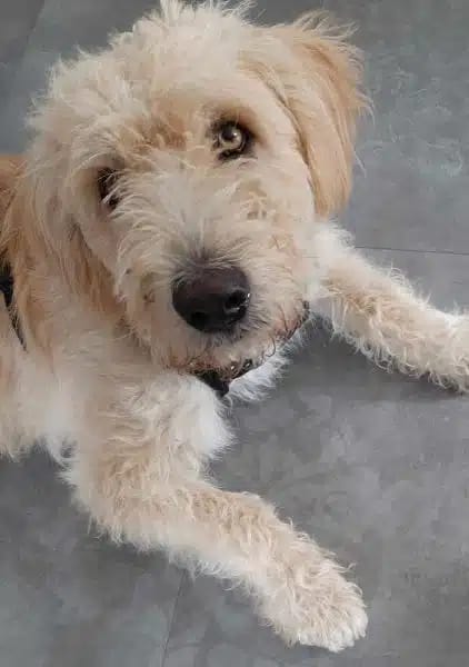 SKIP * mag mit Wohnmobil in die Natur <3