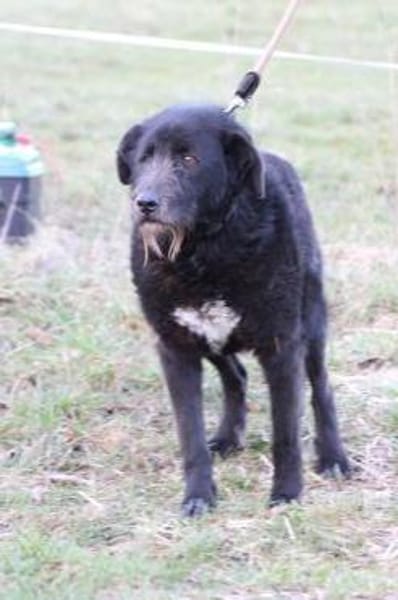 Kami - lieb u. angenehm