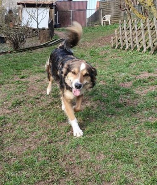 Sunny  Sanfte Seele sucht ruhigen Hafen