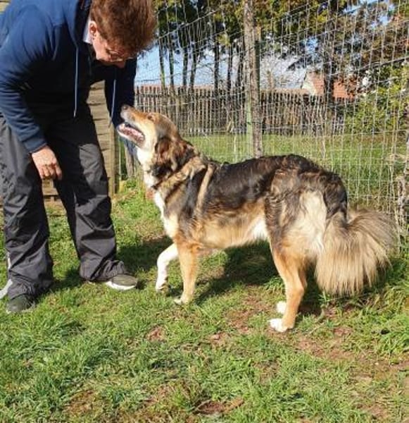 Sunny  Sanfte Seele sucht ruhigen Hafen