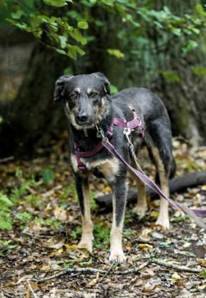 YETINA -möchte ankommen-