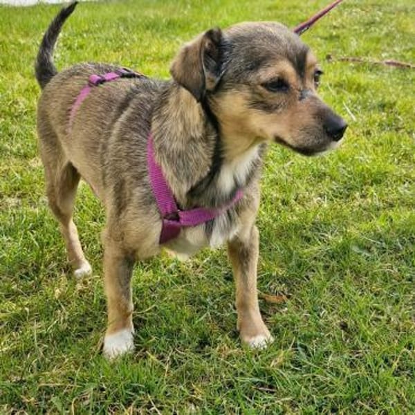 Mary - kleine Mary sucht großes Glück