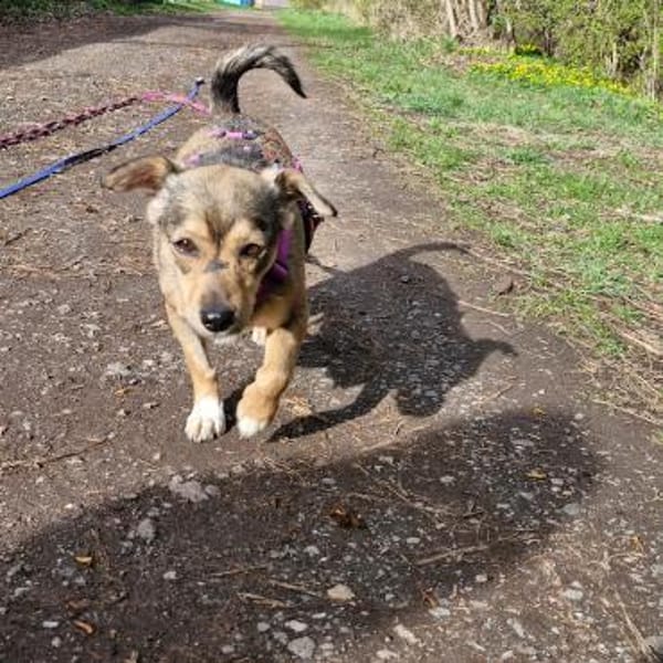 Mary - kleine Mary sucht großes Glück