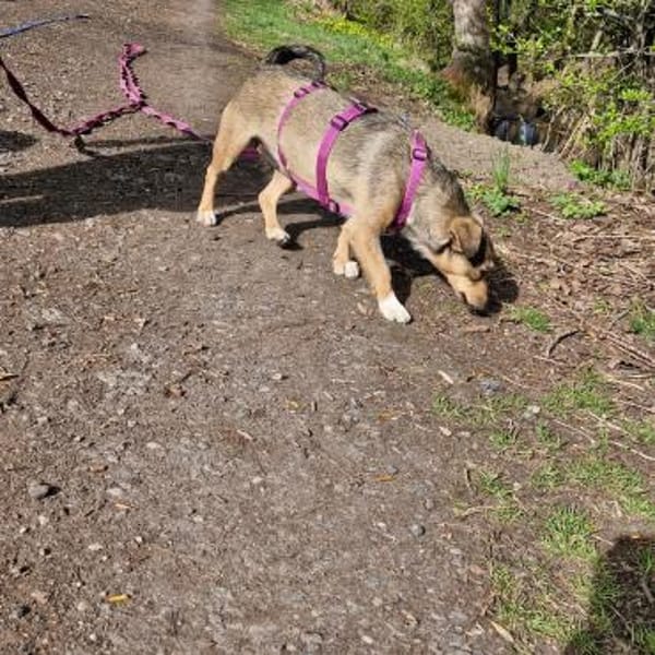 Mary - kleine Mary sucht großes Glück
