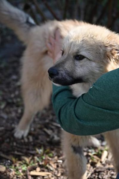 Armando- sooo niedlich ❤