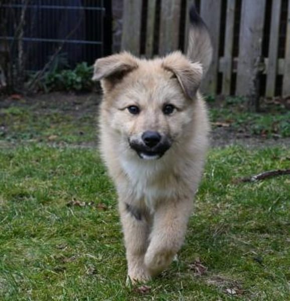 Armando- sooo niedlich ❤