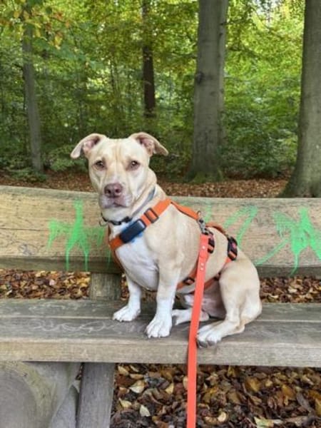 ARKON -Sonnengenießer mit Charakter-