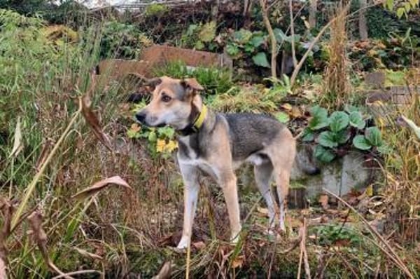 Trusky möchte Vertrauen