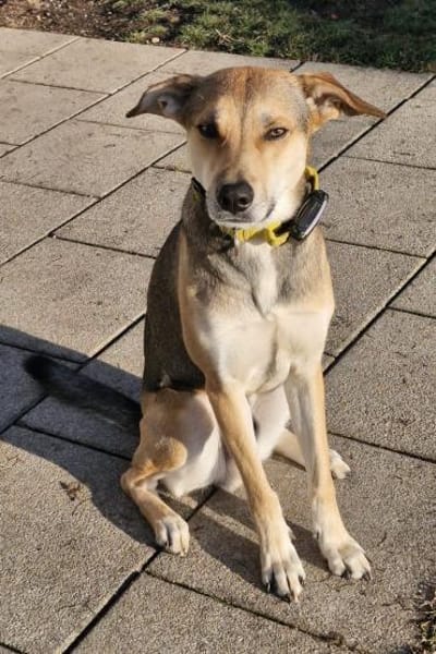 Trusky möchte Vertrauen