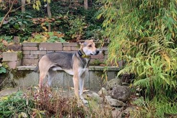 Trusky möchte Vertrauen