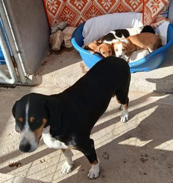 Mama Ramona sehnt sich nach LIebe