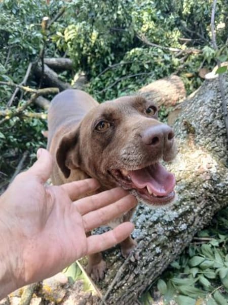 Niemand sieht Lala, sie gibt auf