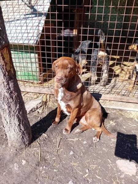 Niemand sieht Lala, sie gibt auf