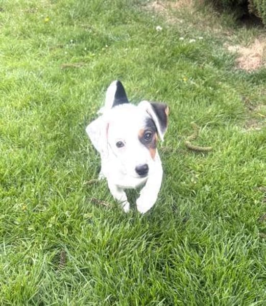 Melodie ein zauberhaftes Mädchen