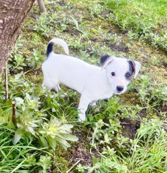 Melodie ein zauberhaftes Mädchen