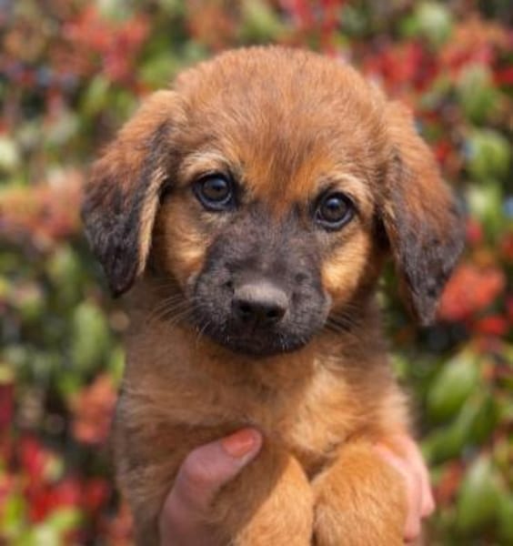 Ulli 🥰 zuckersüß