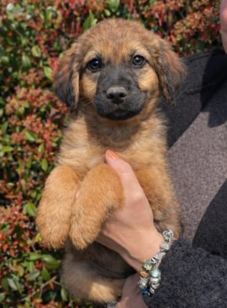 Ulli 🥰 zuckersüß