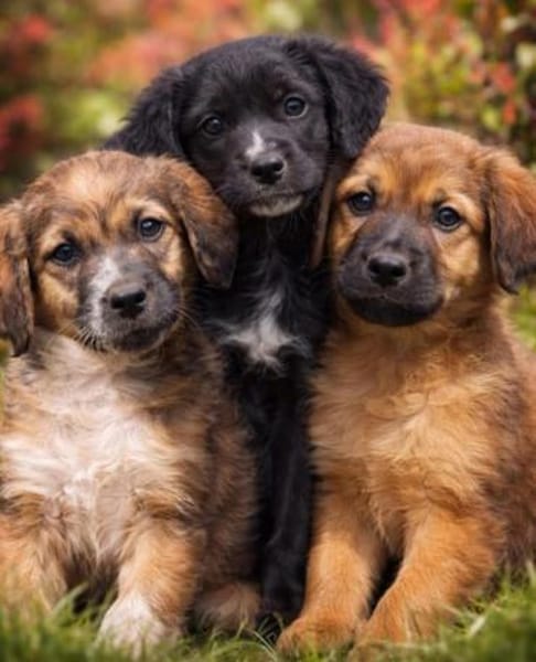 Ulli 🥰 zuckersüß