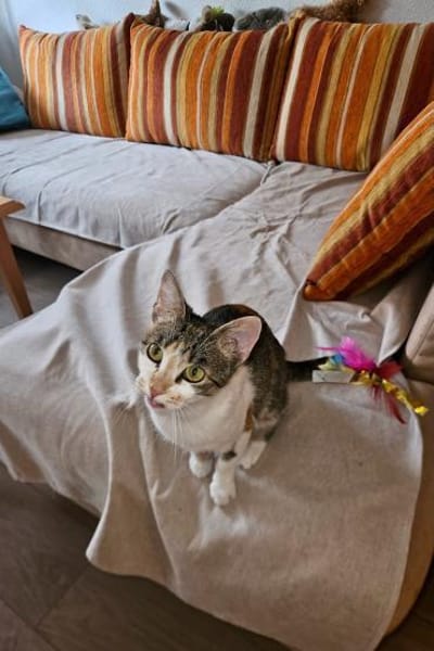 Yara sucht ihr Glück