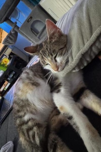 Yara sucht ihr Glück