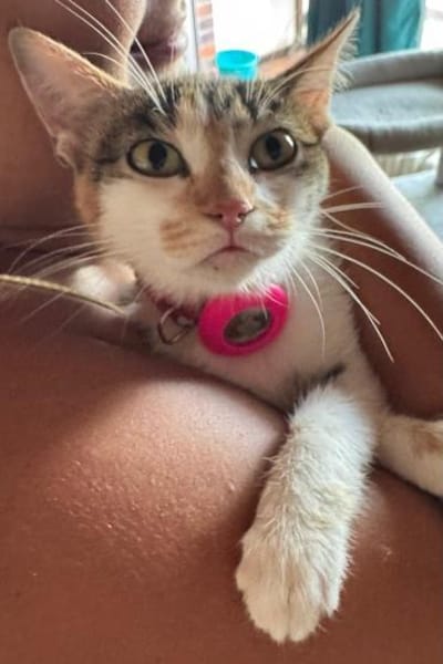 Yara sucht ihr Glück