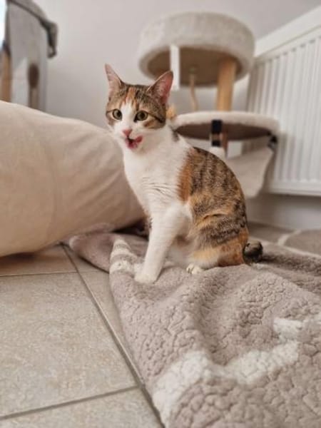 Lumi ist liebevoll und sanft