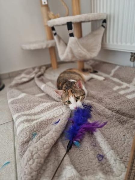 Lumi ist liebevoll und sanft