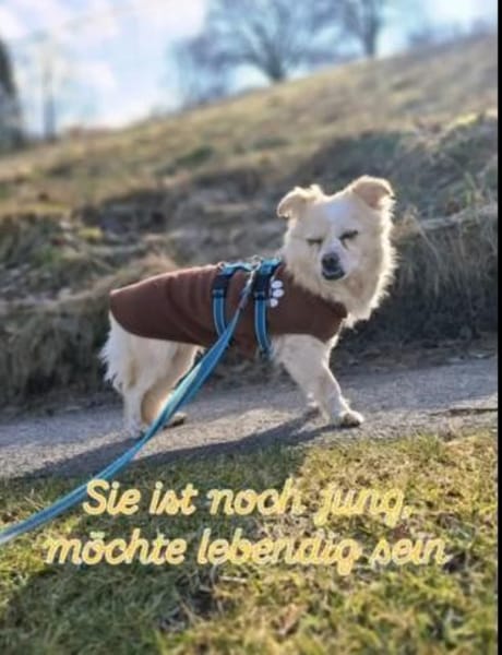 Püppi sucht nach den richtigen Menschen